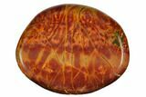 1.8" Polished Cherry Creek Jasper Flat Pocket Stone  - Photo 2